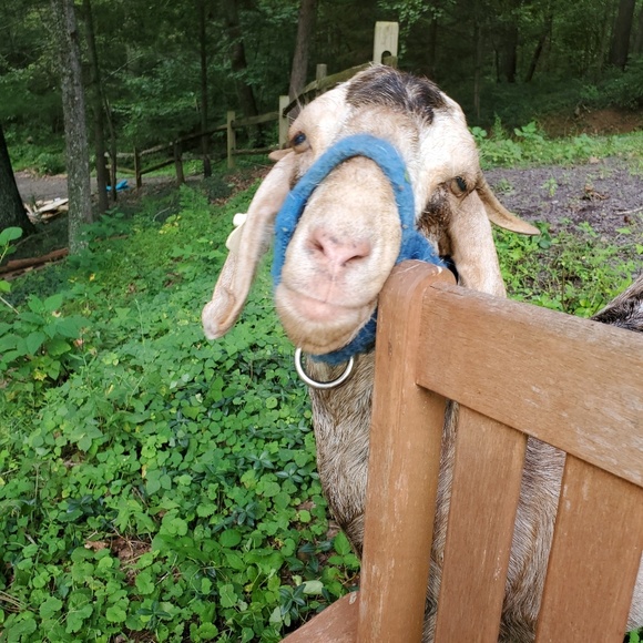 Meet your Posher, N - Picture 8 of 8